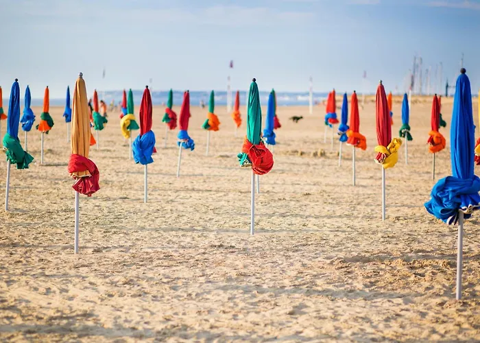 Apartment Le Palais Des Terrasses